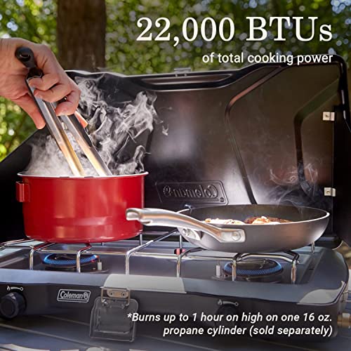 2-Burner Propane Camping Stove U36542