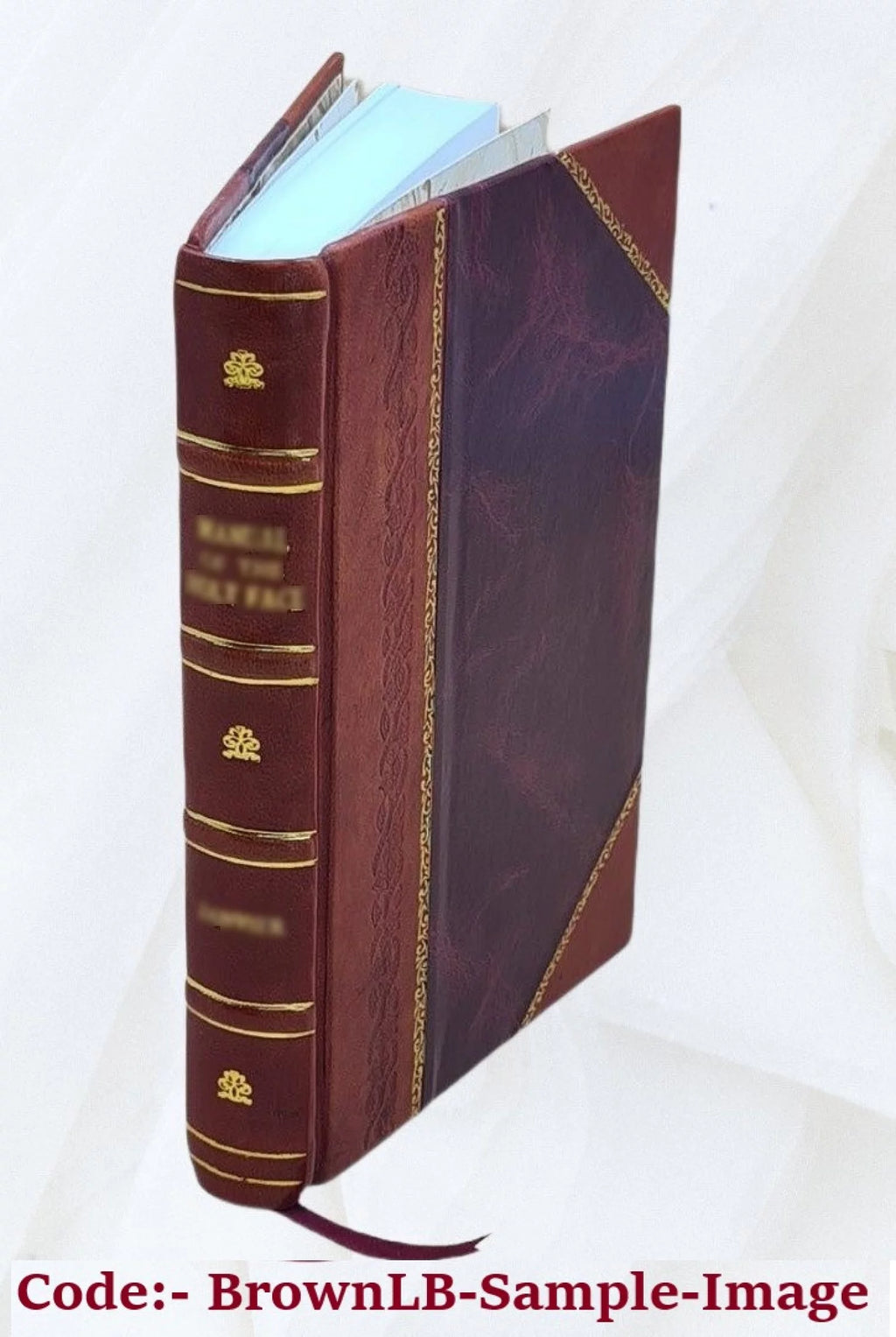 Volunteer Steps Volume 11 1854 Leather Bound A192