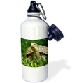 21 oz Water Bottle W917528