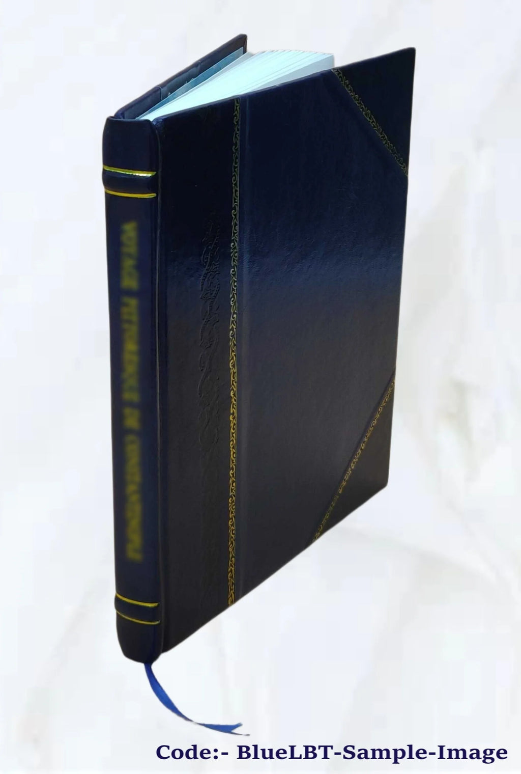 Leather Bound Book O226517