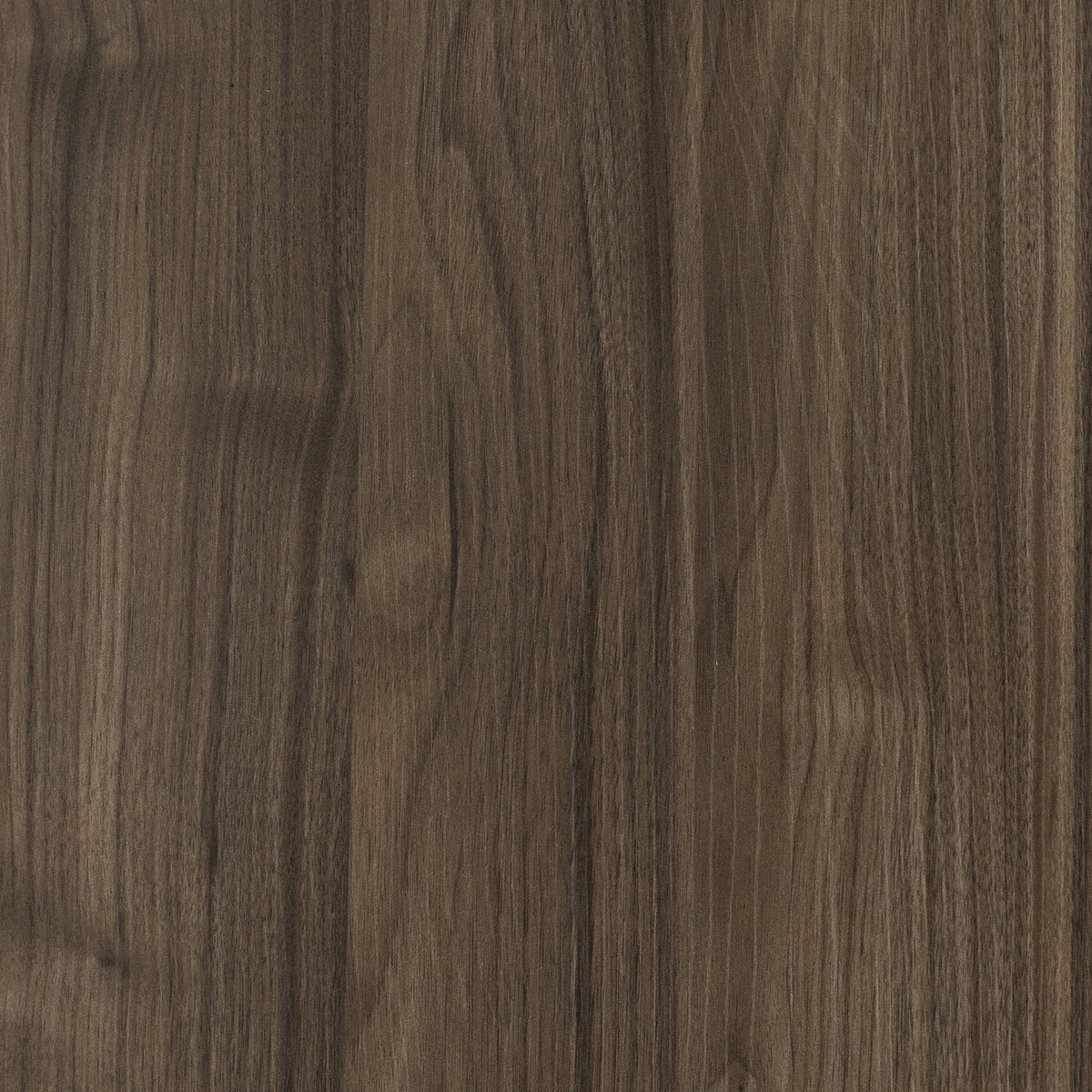 Contemporary Natural Walnut Storage Unit E127