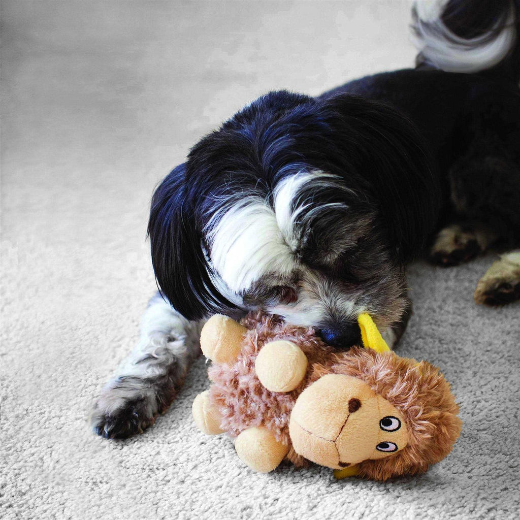 Pig Dog Toy Y954