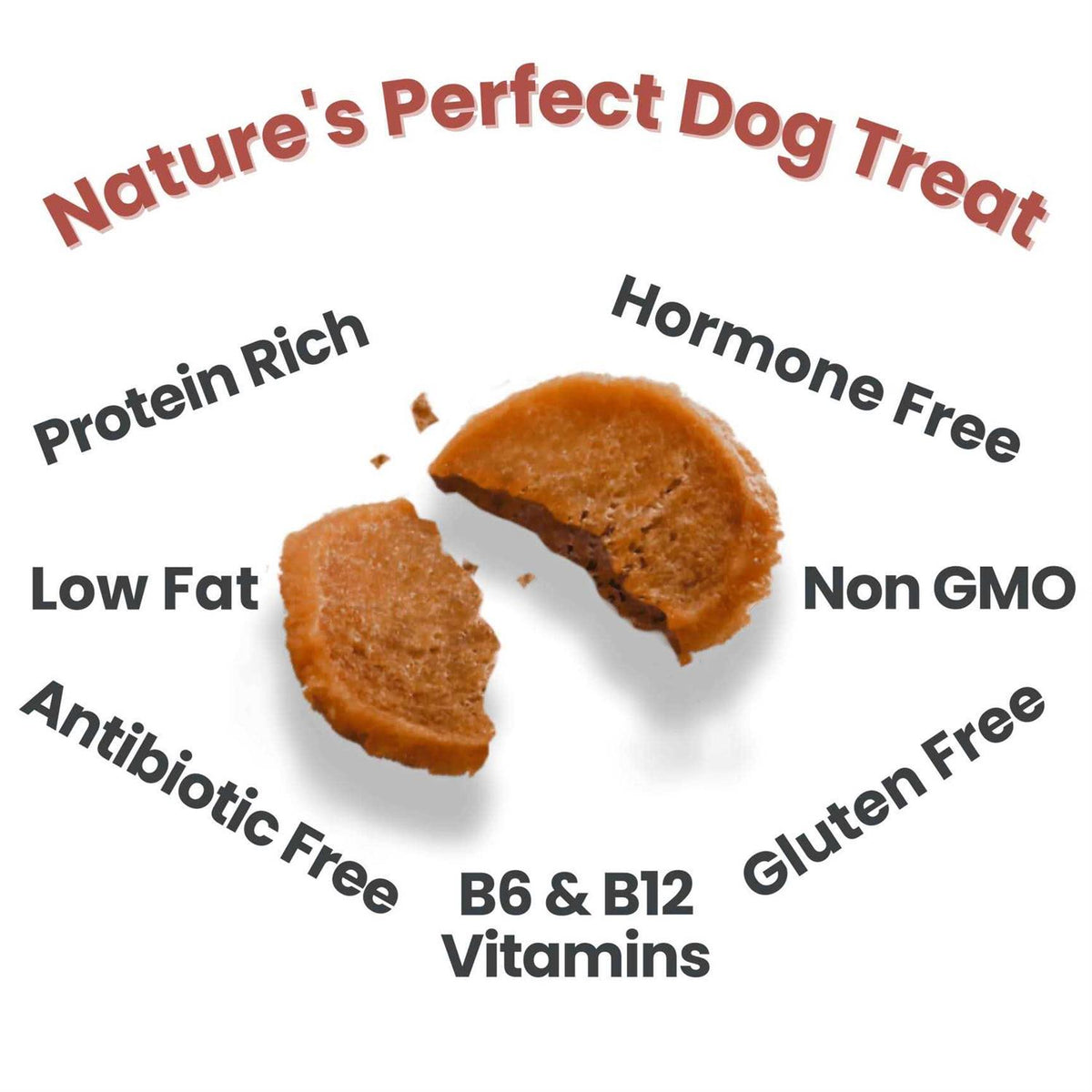 Chicken Chips Dog Treats X96655