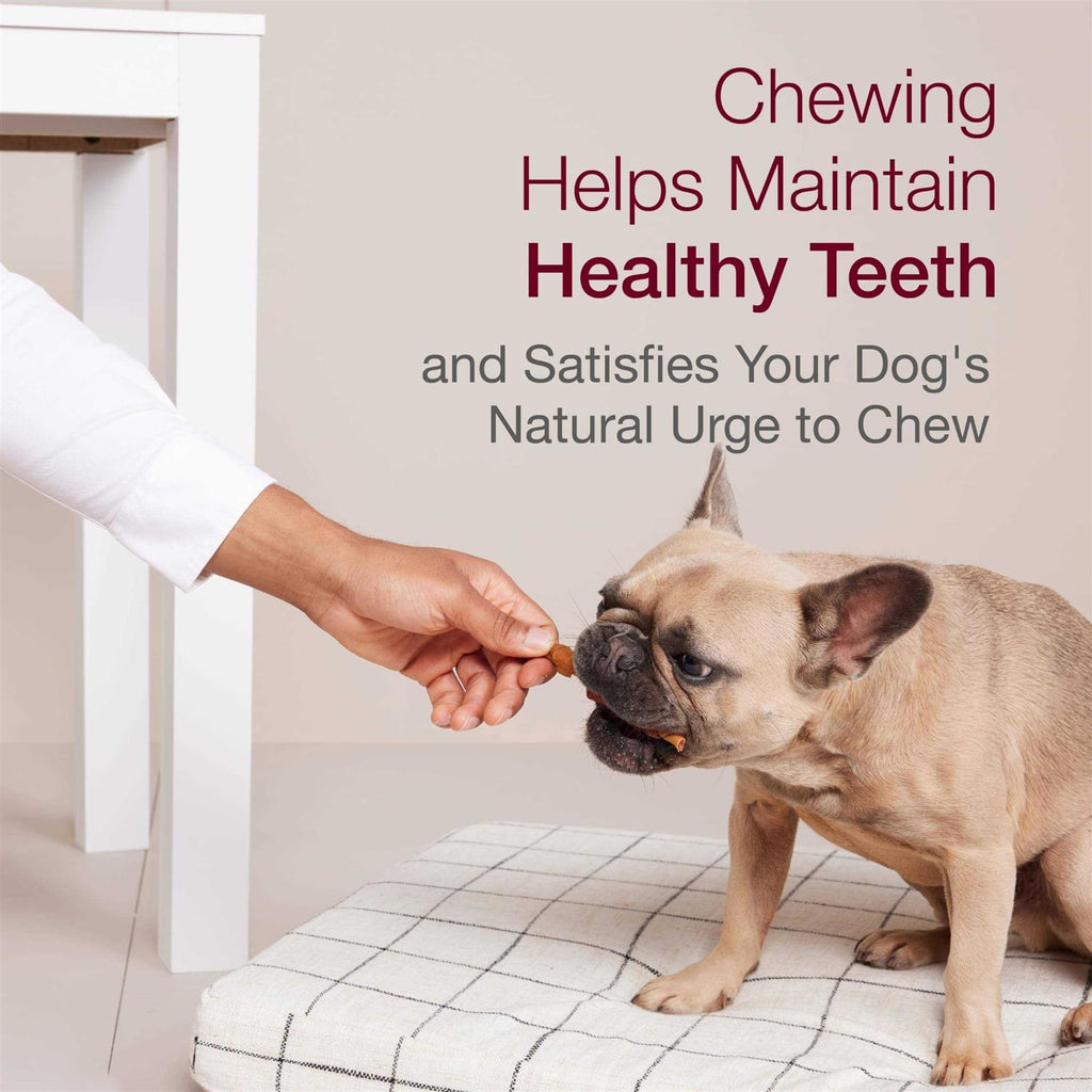 Dog Treat W81375