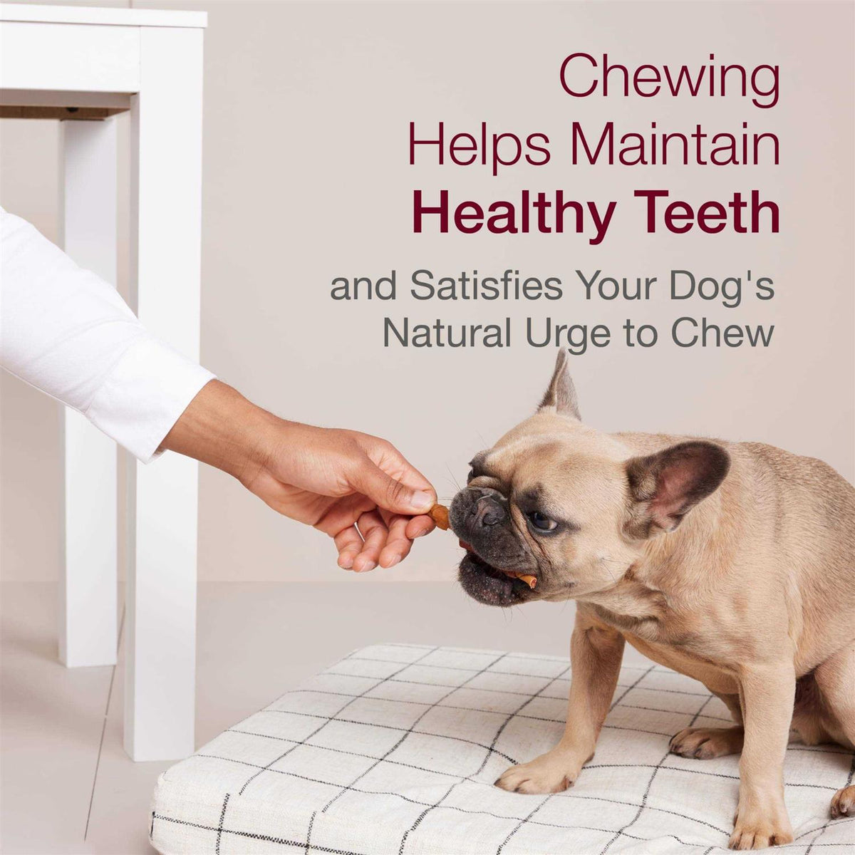 Dog Treat W81375