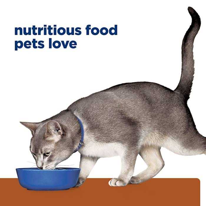 Chicken Canned Cat Food 5.5-oz 24 ct Y82725