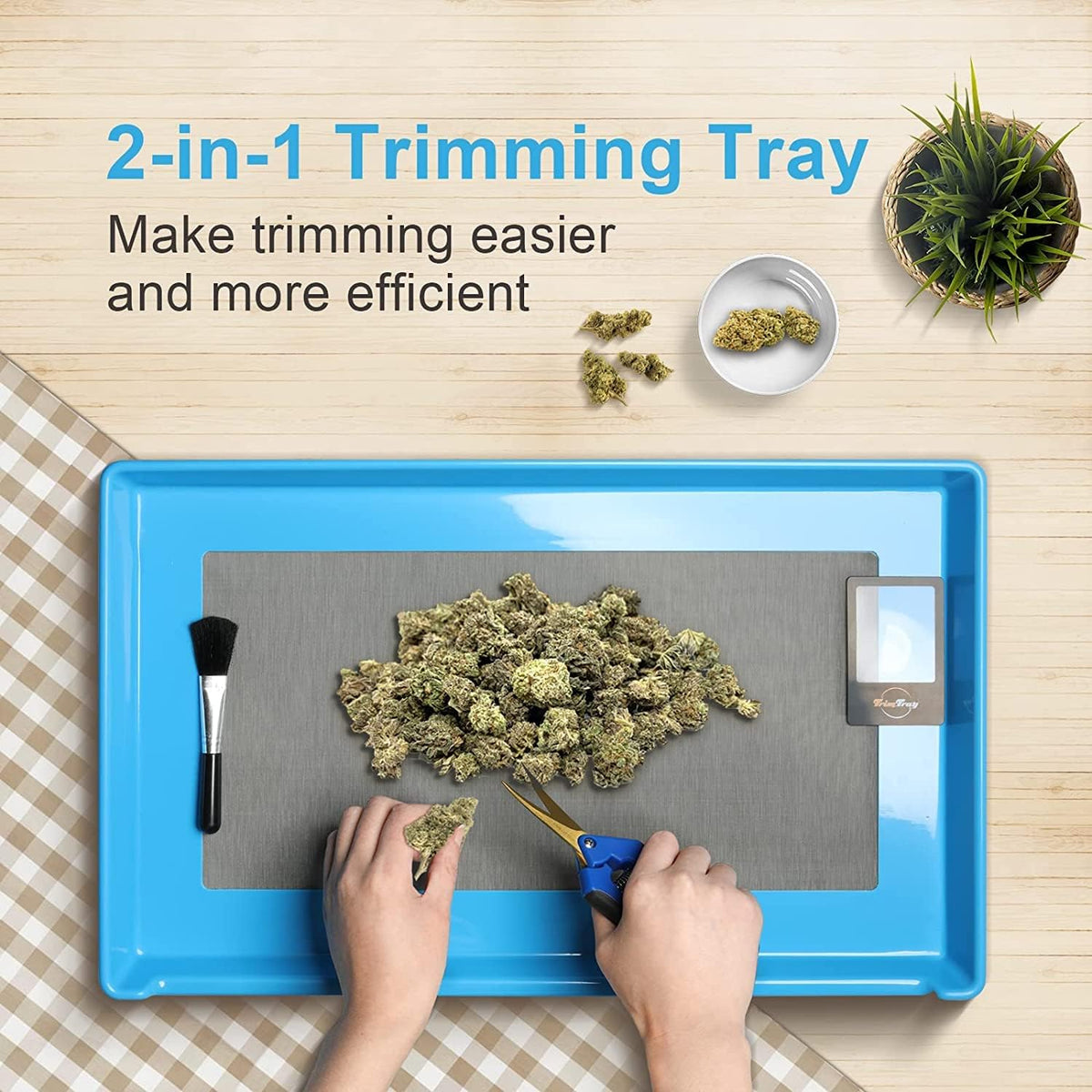 Blue Black Bud Trimming Tray I316
