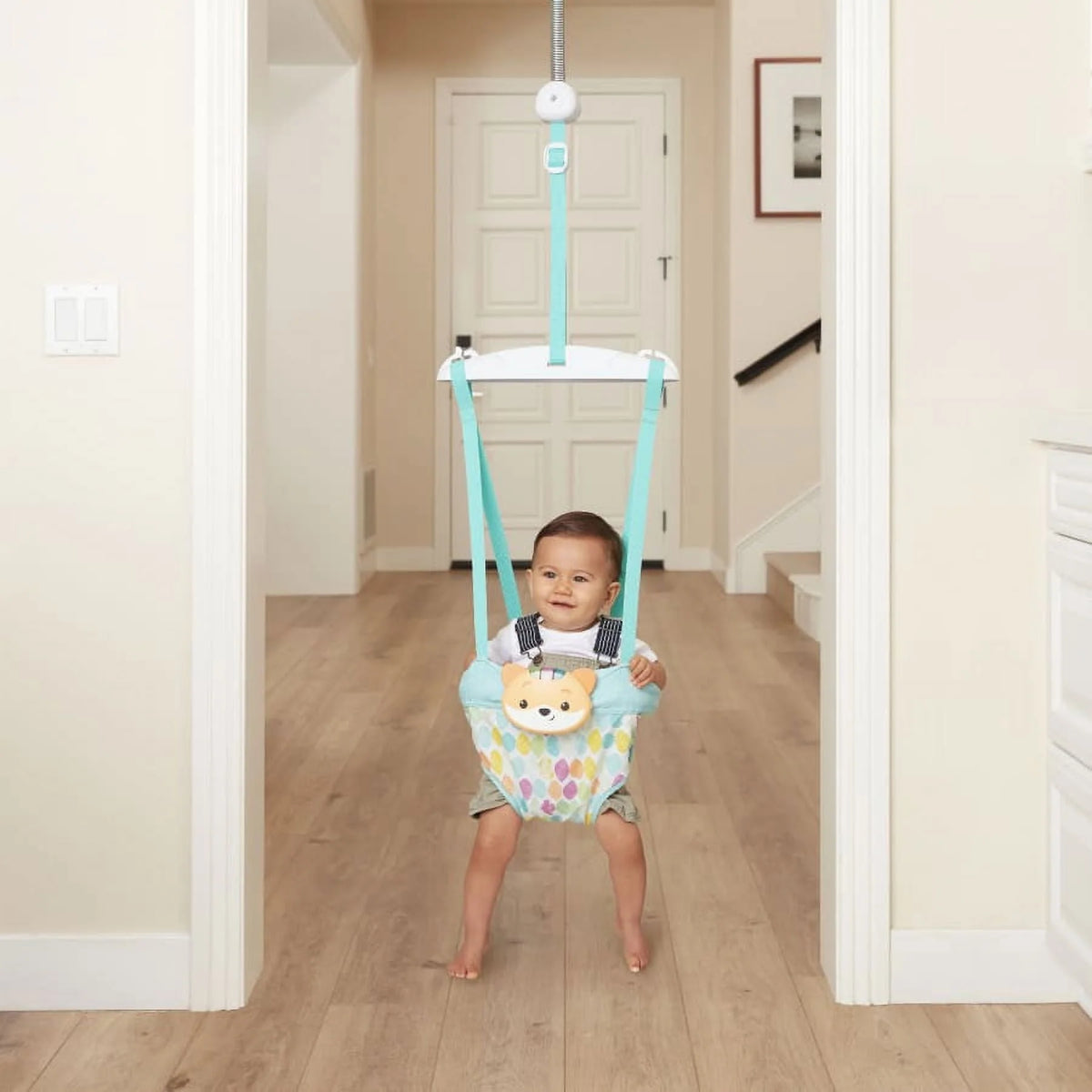 2-in-1 Music & Lights Doorway Jumper F30051