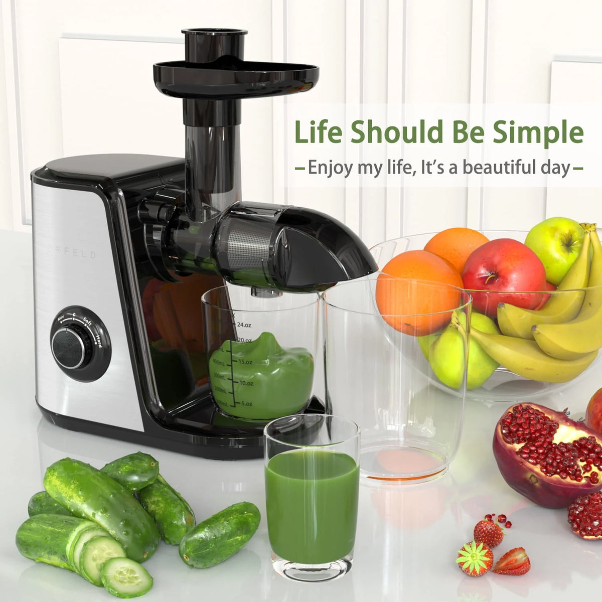 150W Masticating Juicer X9912