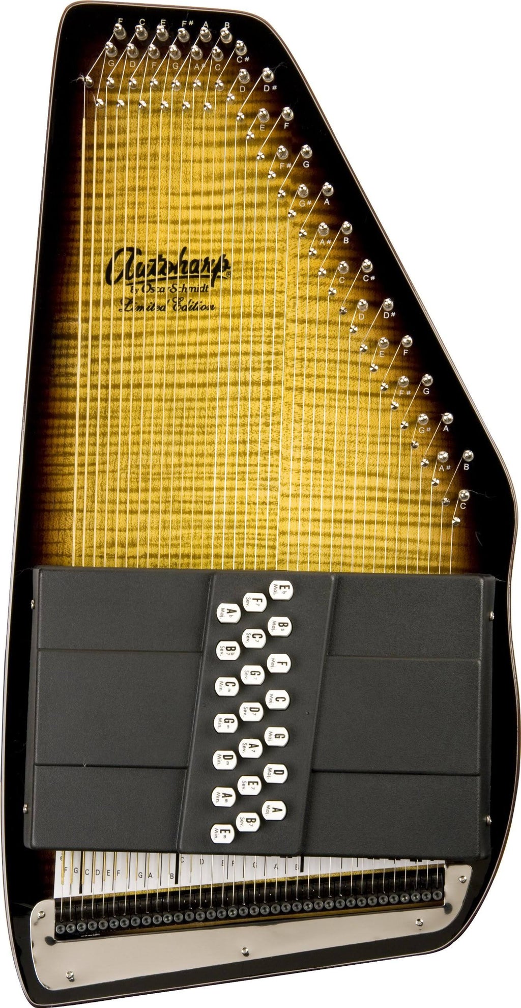 Acoustic Electric Auto Harp R9307