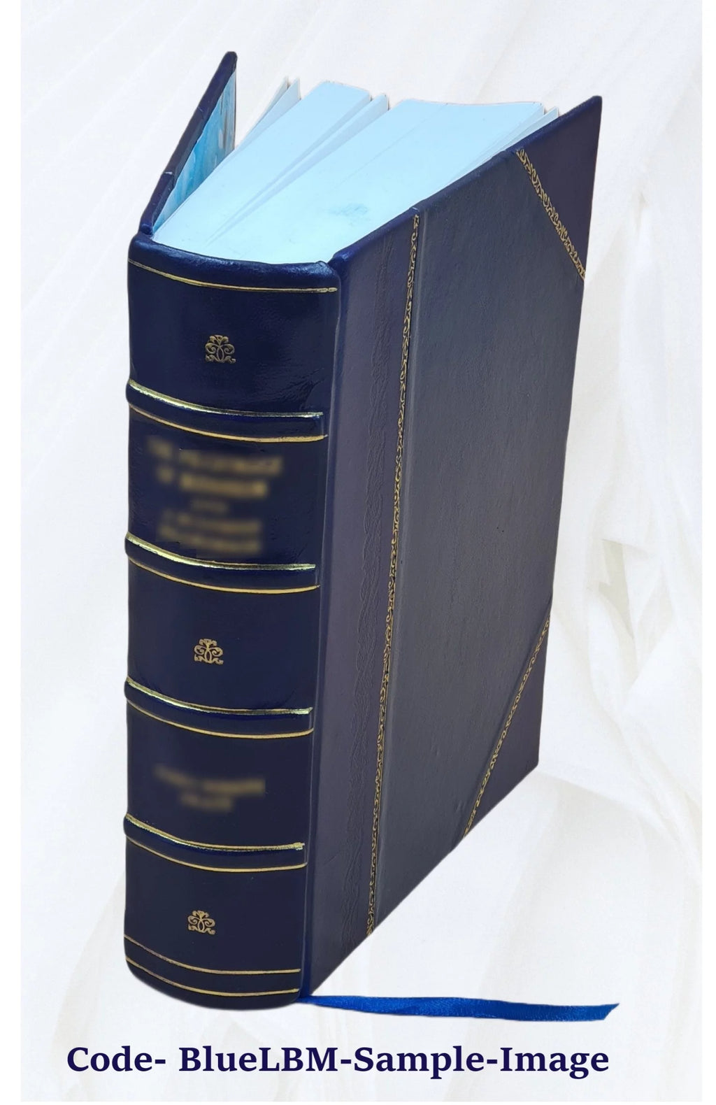 Leather Bound Book Z841