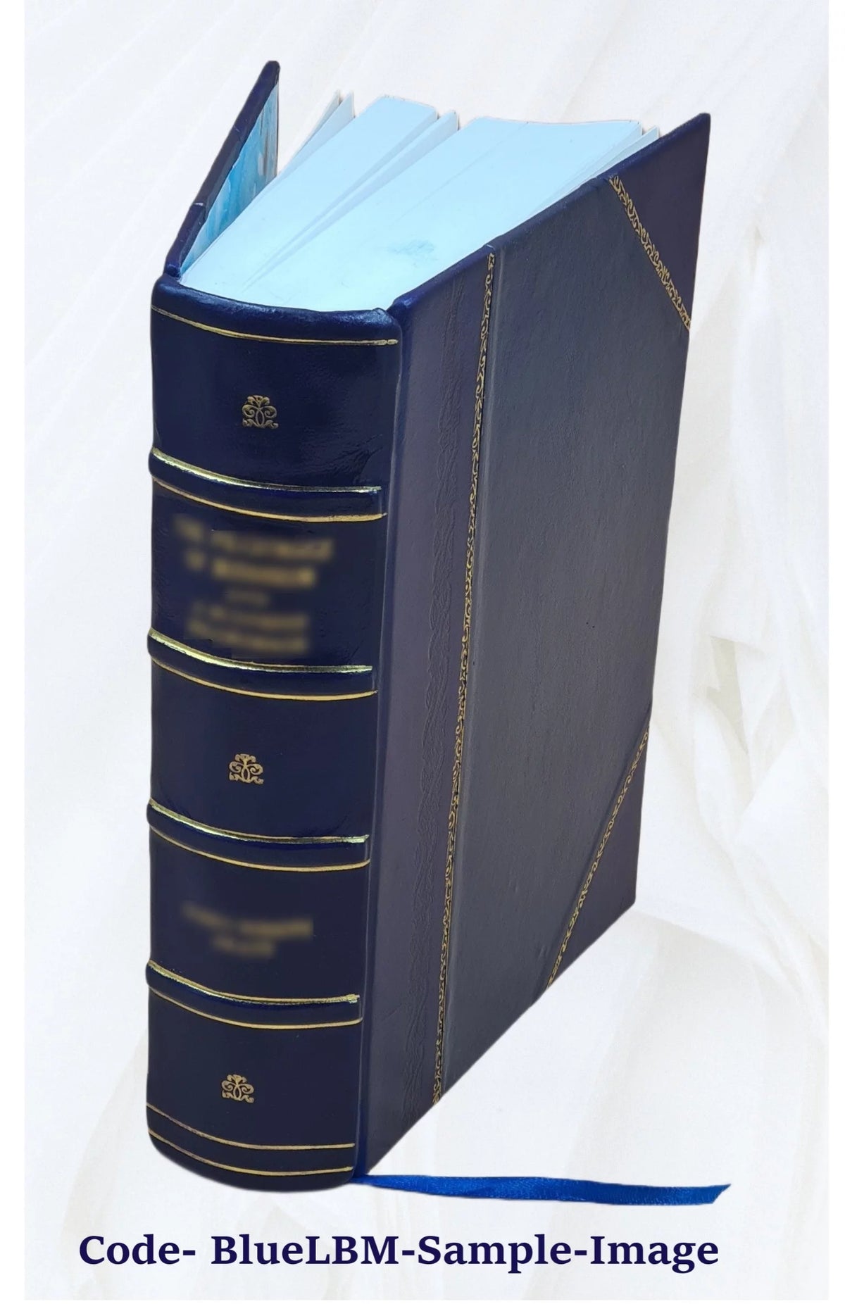 Leather Bound Book Z841