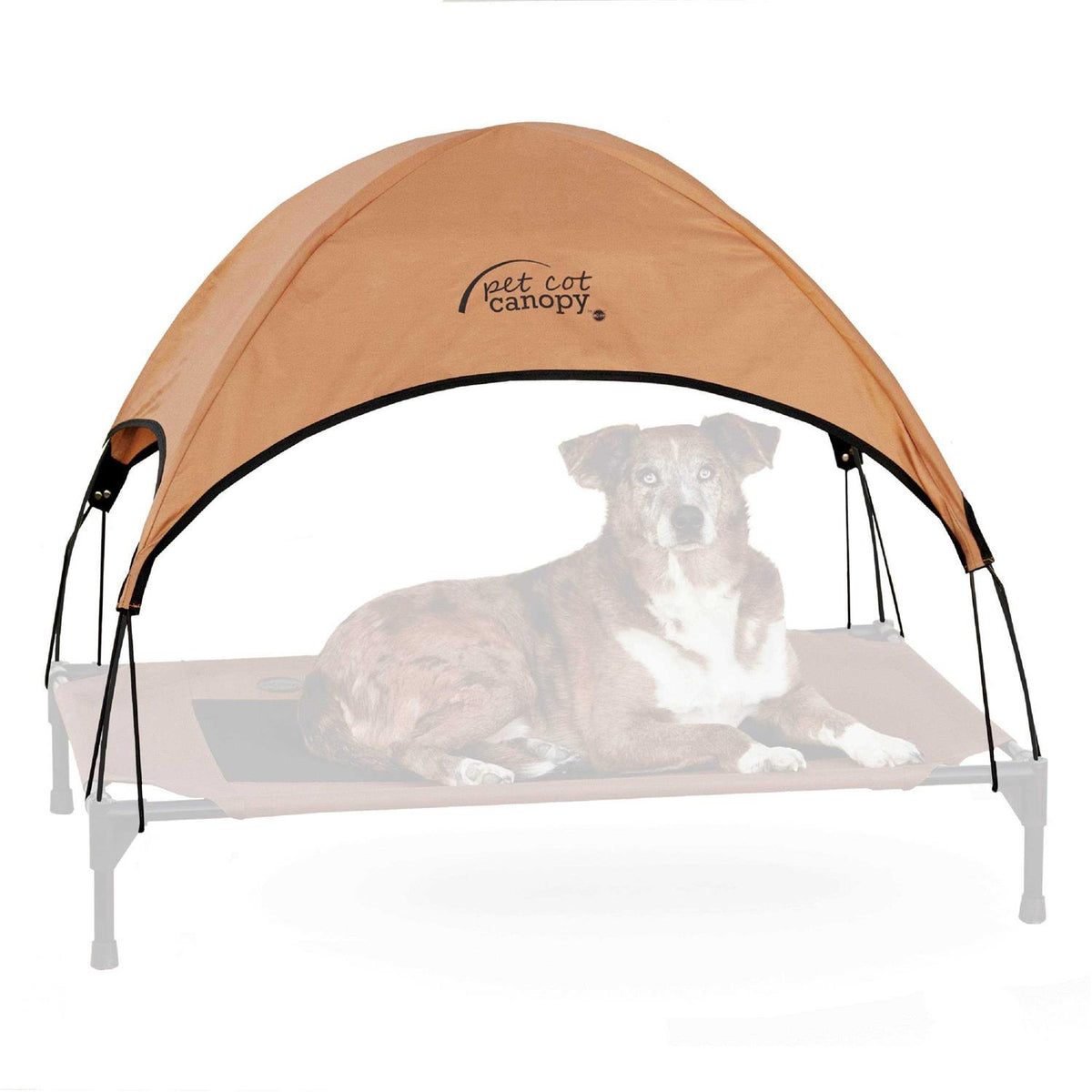 Pet Cot Canopy F9975