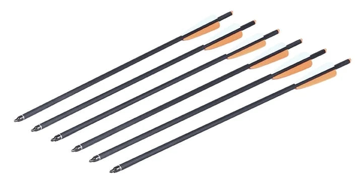 6 Pack Carbon Arrows with 2-inch Blazer Vanes U575