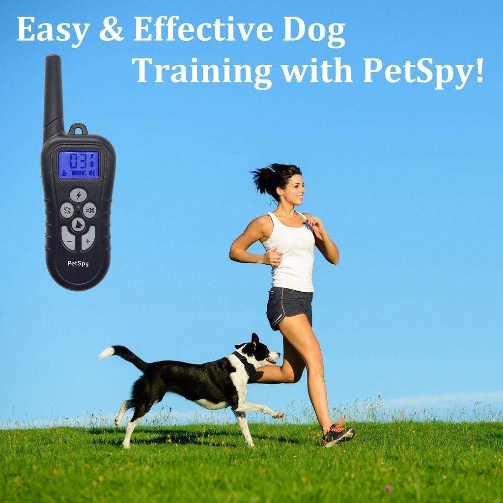 Remote Dog Training Collar Y584