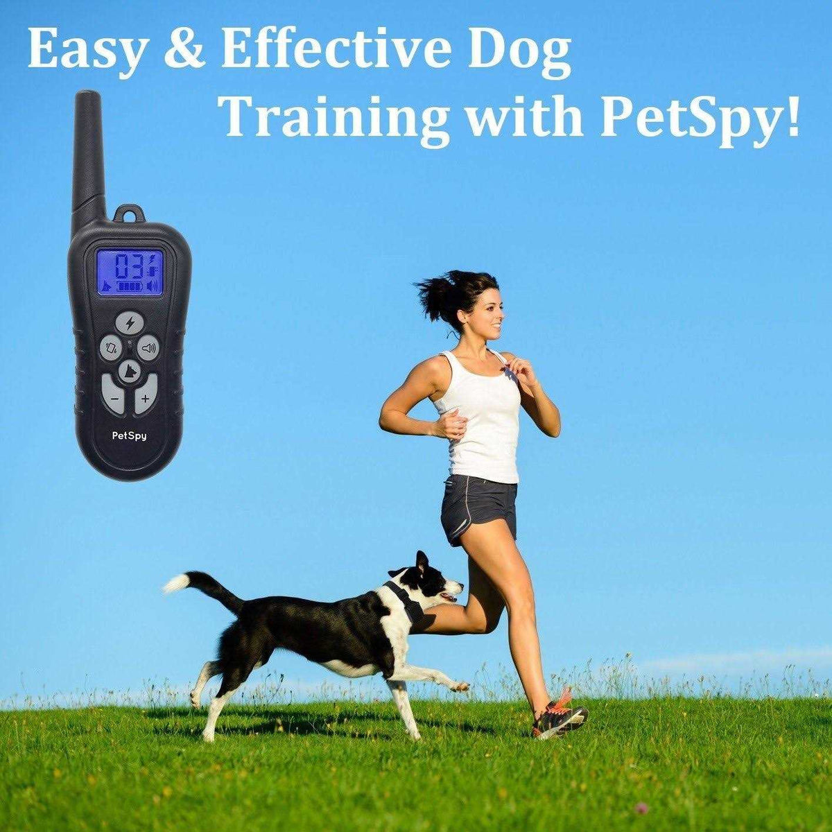 Remote Dog Training Collar Y584