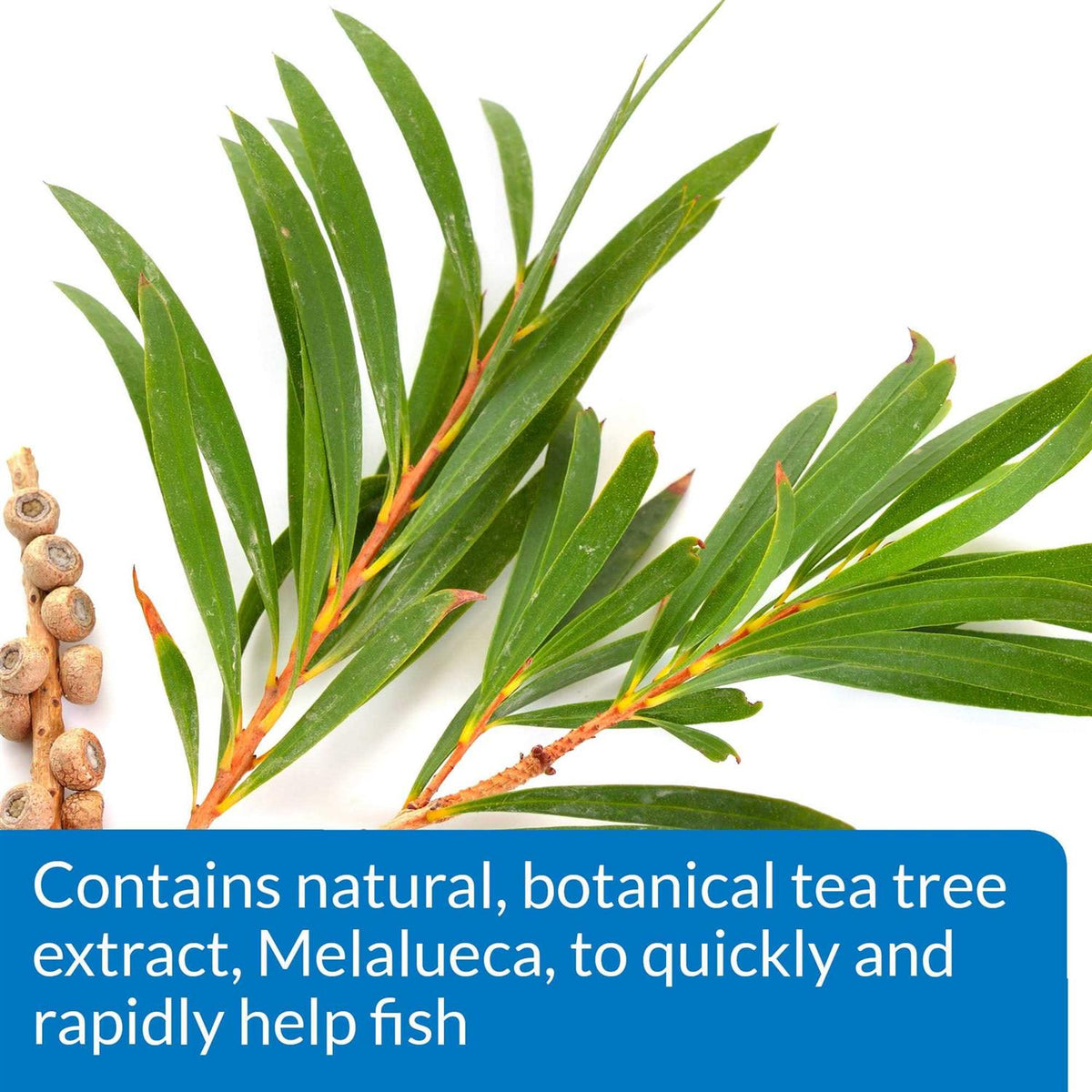 Fish Remedy J301