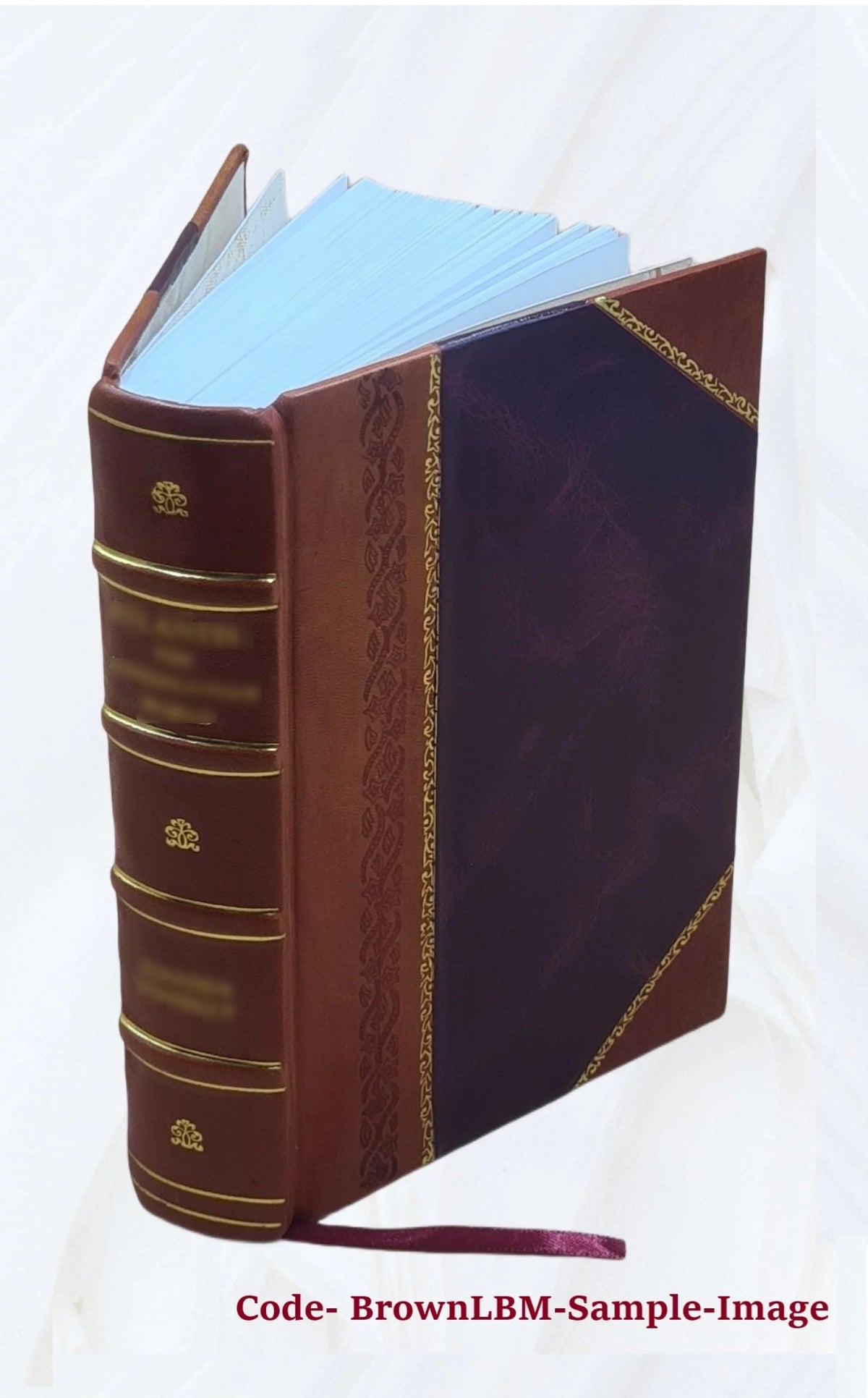Leather Bound Book Z841