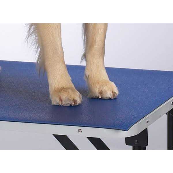Table Mat Z718280