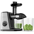 150W Masticating Juicer X9912