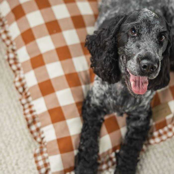 Brown Gingham Print Envelope Dog Bed O48156