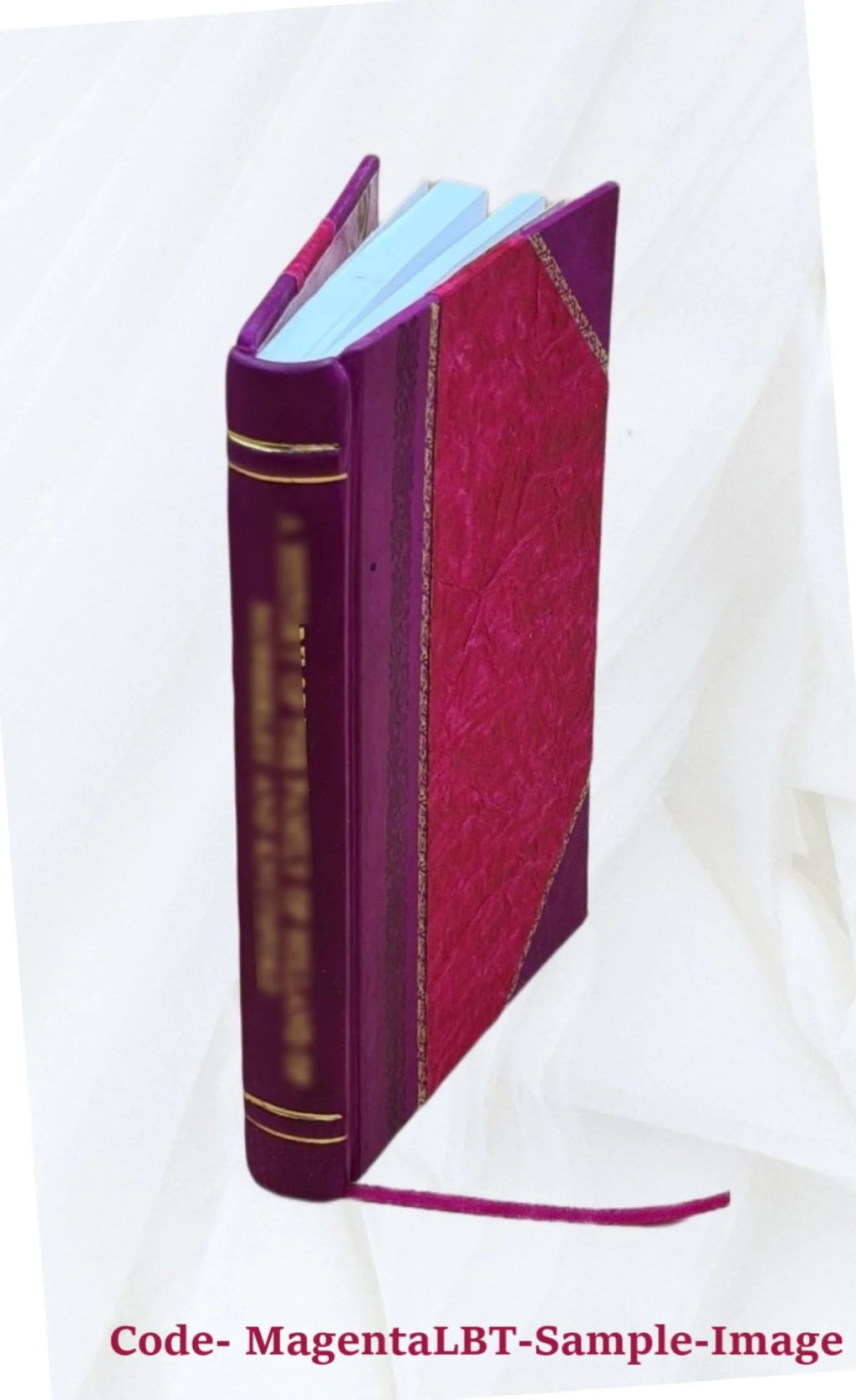 Leather Bound Book O226517
