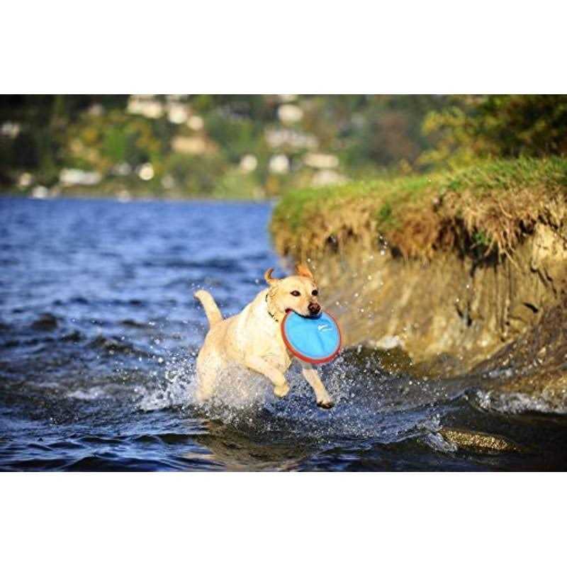 Dog Toy S5222