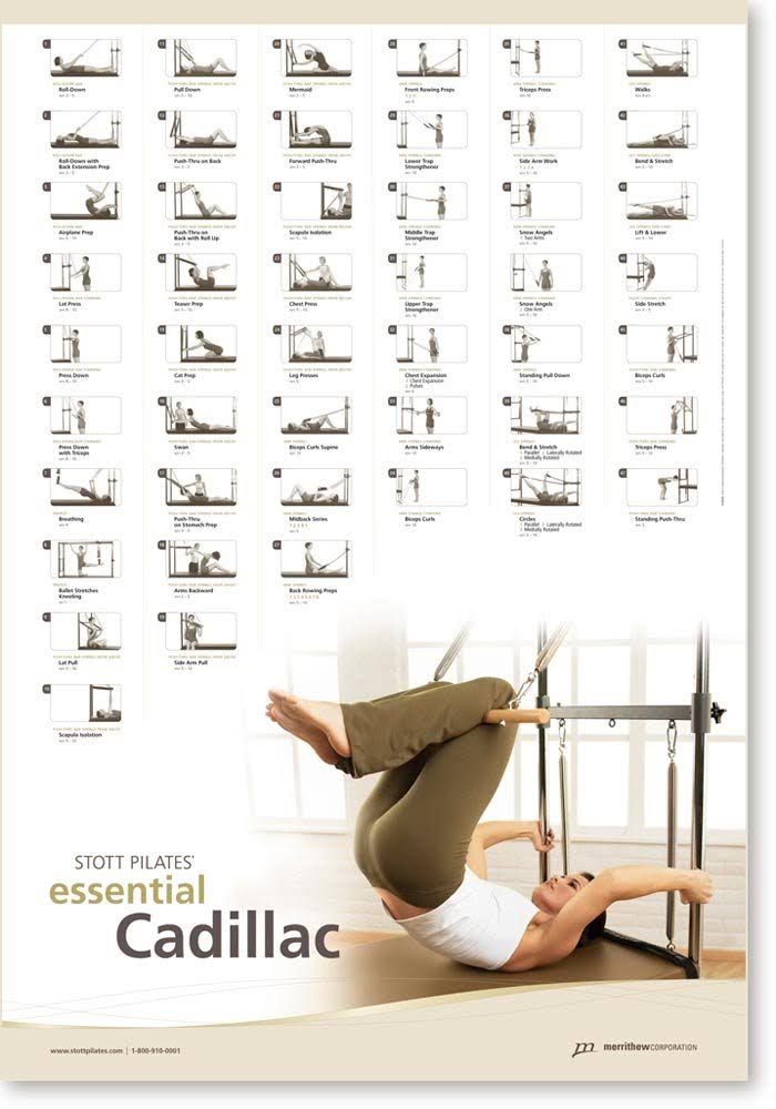 Essential Cadillac Wall Chart O843