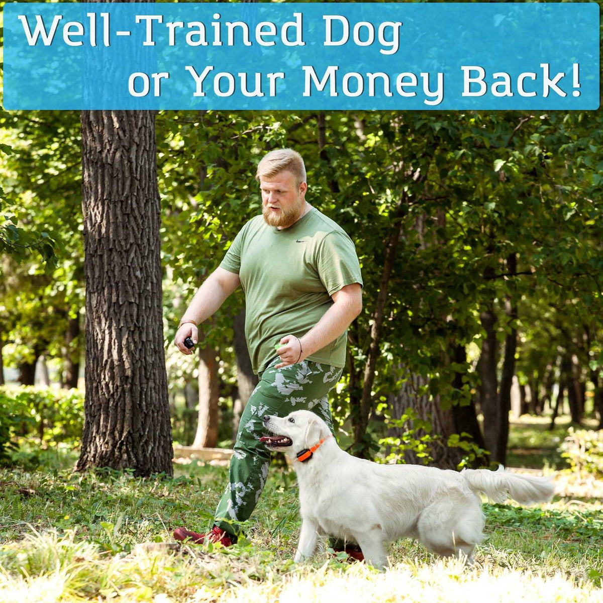 Remote Dog Training Collar Y584