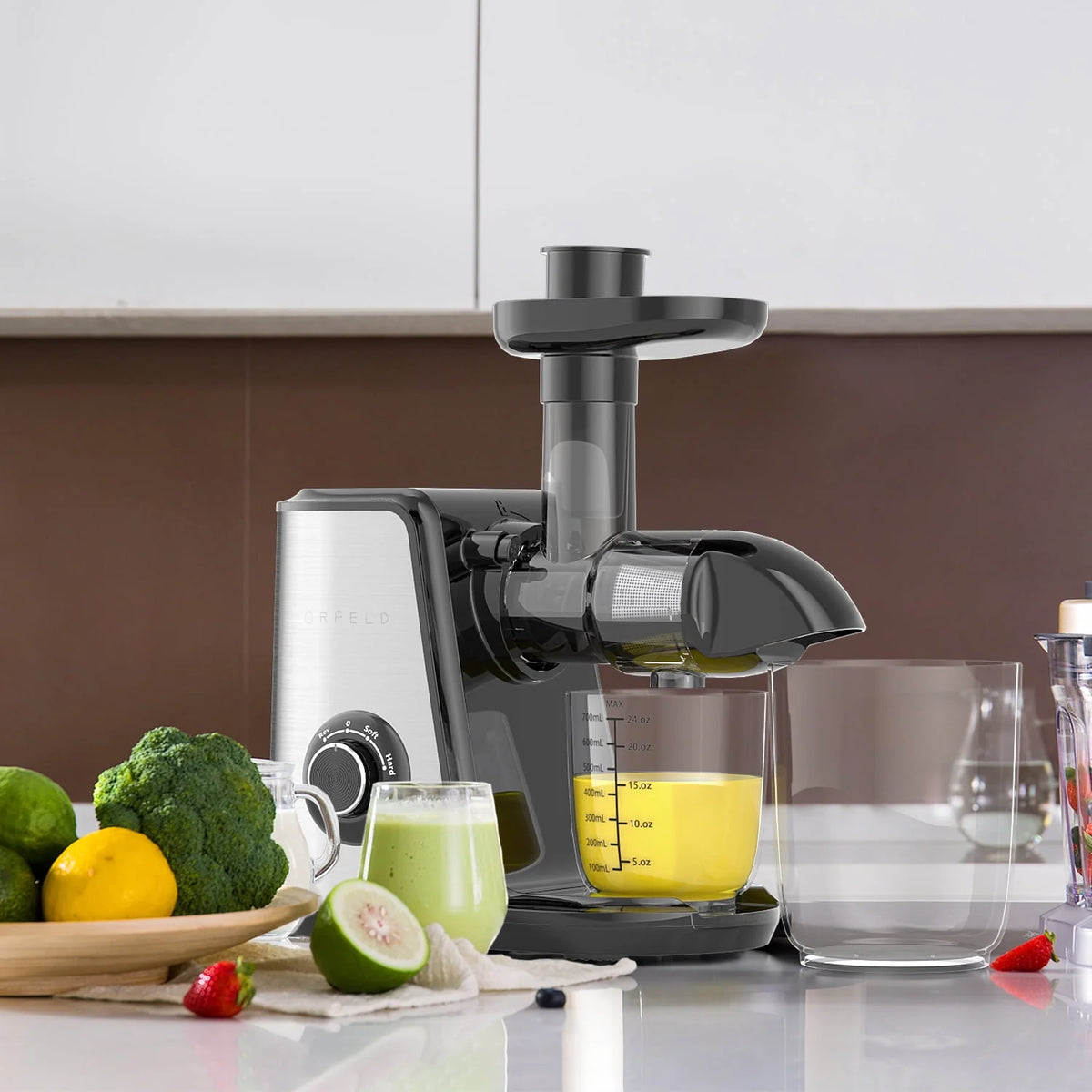 150W Masticating Juicer X9912