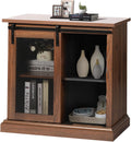 31'' Farmhouse Storage Cabinet with Sliding Barn Door and Adjustable Shelf Z299