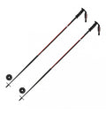 Ski Stick Carbon Safety R710019