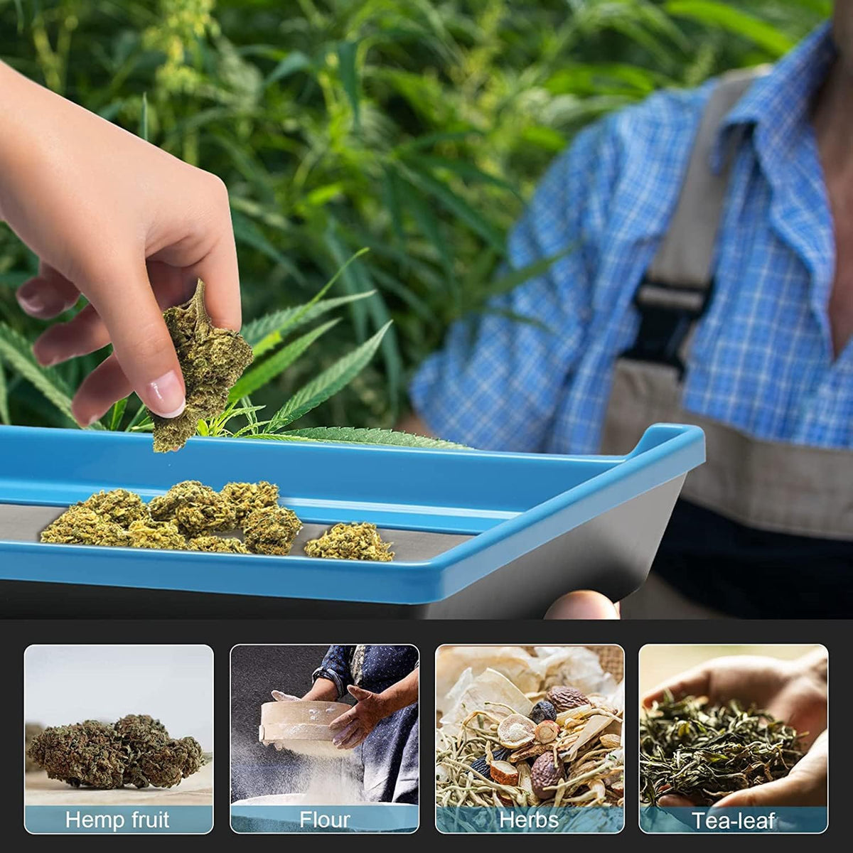 Blue Black Bud Trimming Tray I316