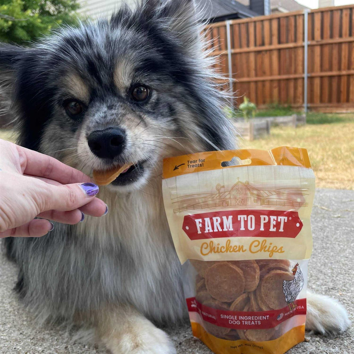 Chicken Chips Dog Treats X96655