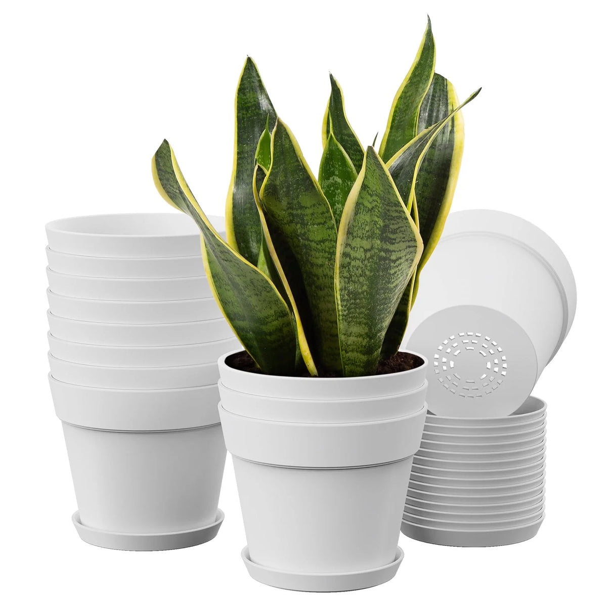6 Inch Plastic Planters 16 Pack White L3339