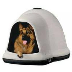 XL Dog House Z660