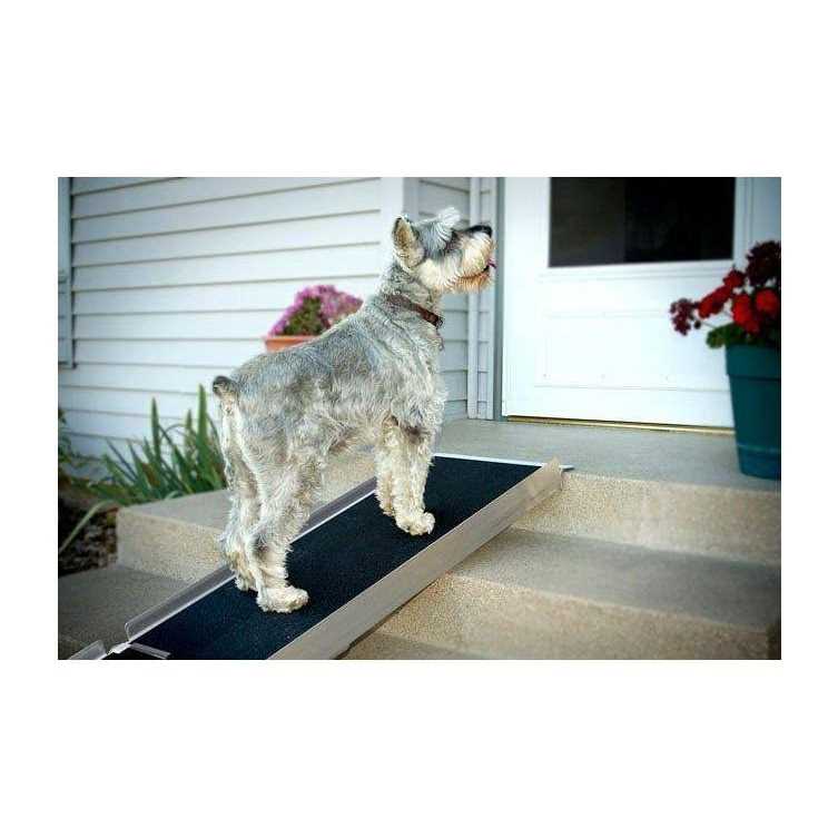 Telescoping Ramp T46940