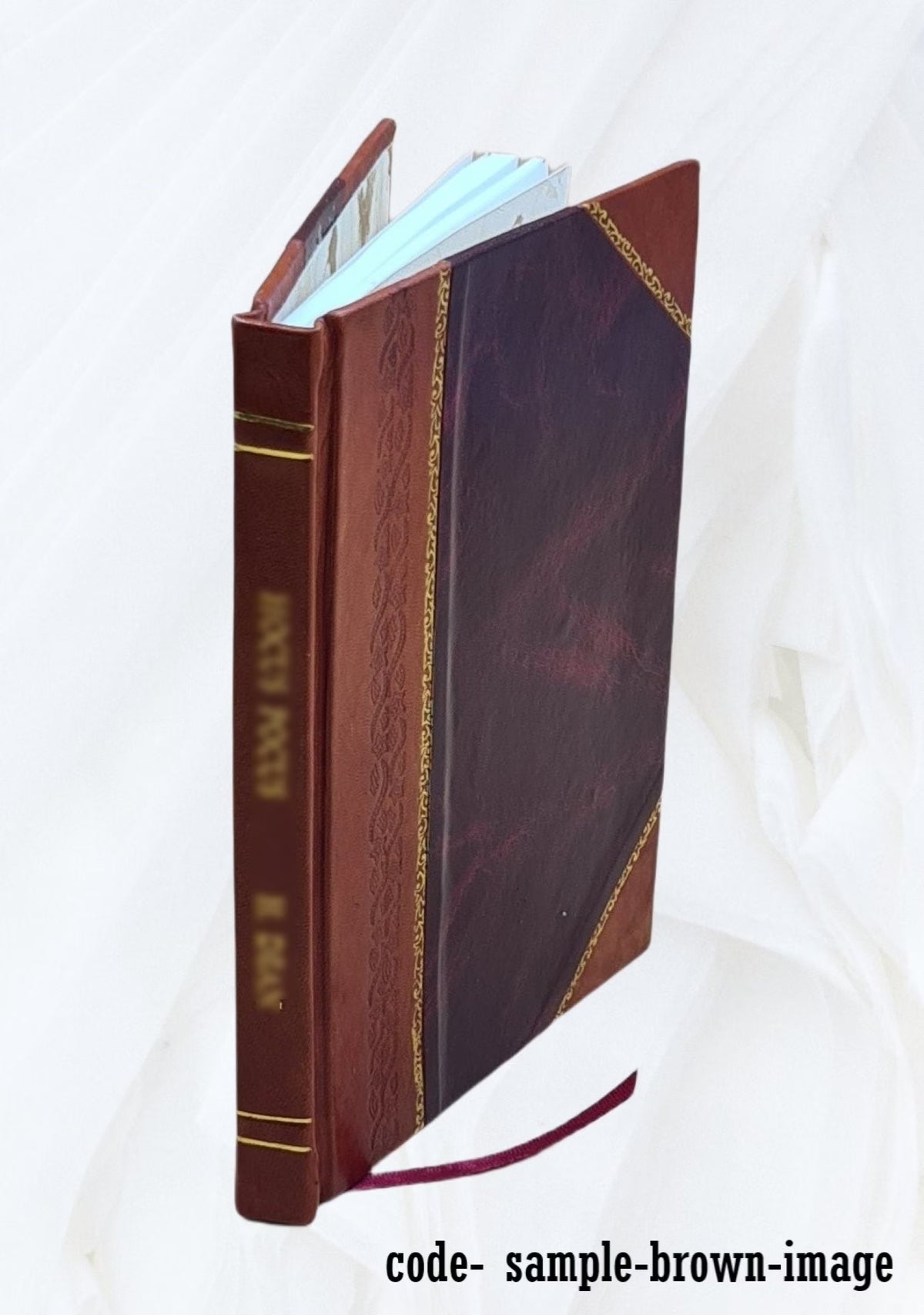 Leather Bound Book O226517
