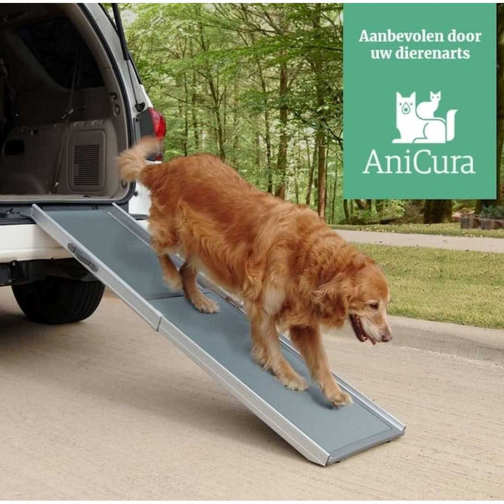Telescoping Ramp T46940