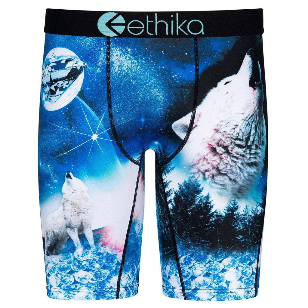 Blue/White Dog Boxers N795
