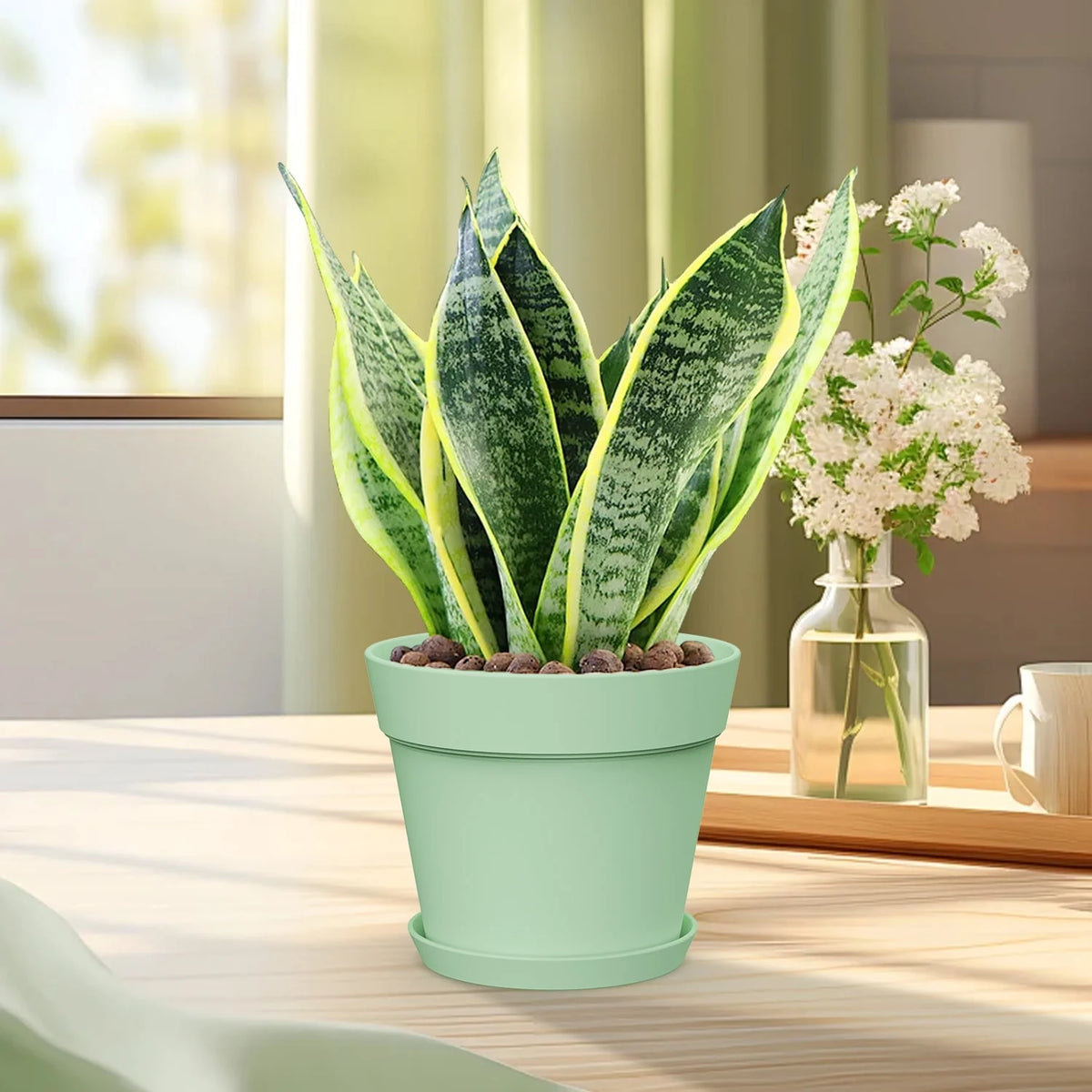6 Inch Plastic Planters 16 Pack White L3339