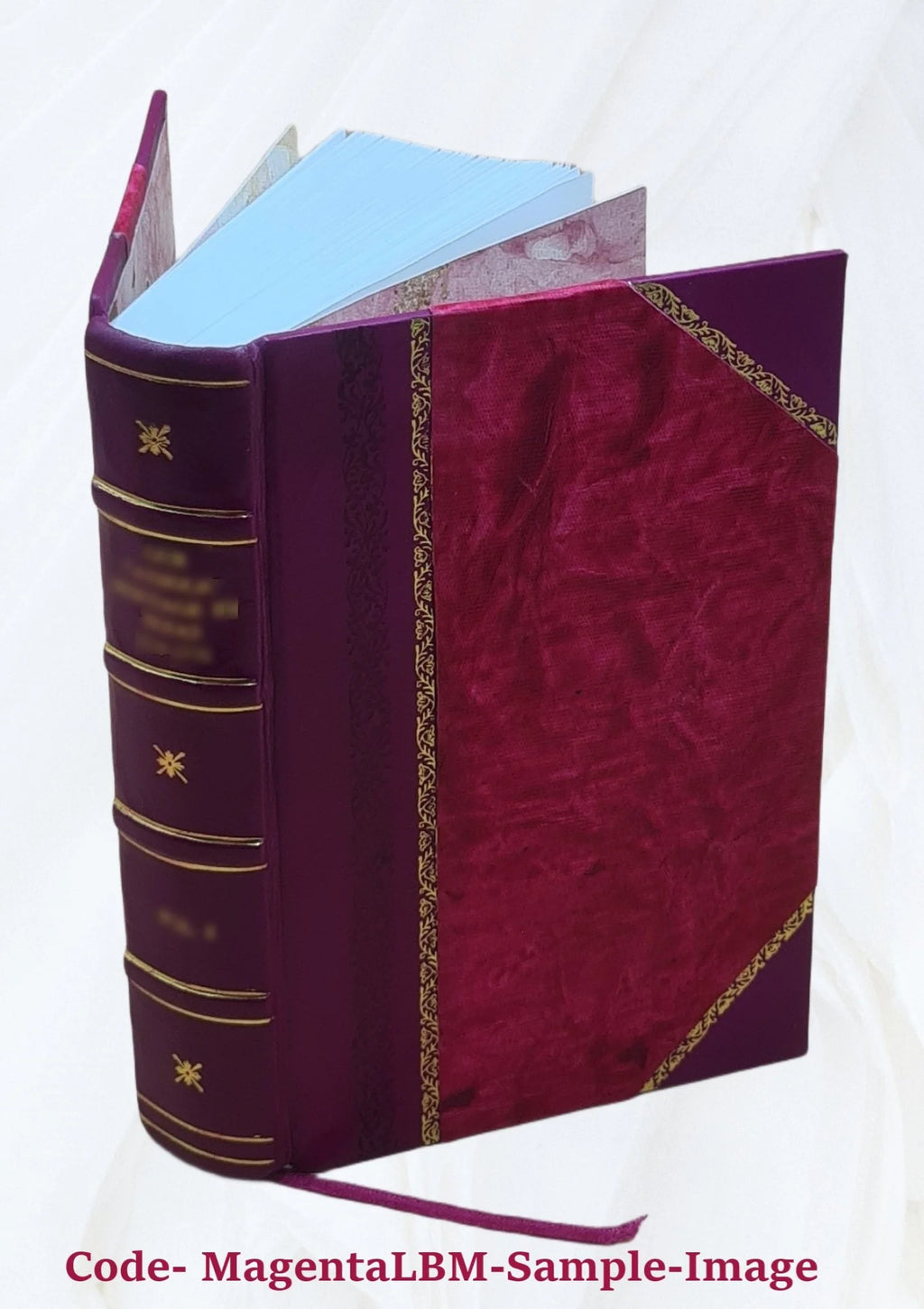 Leather Bound Book Z841