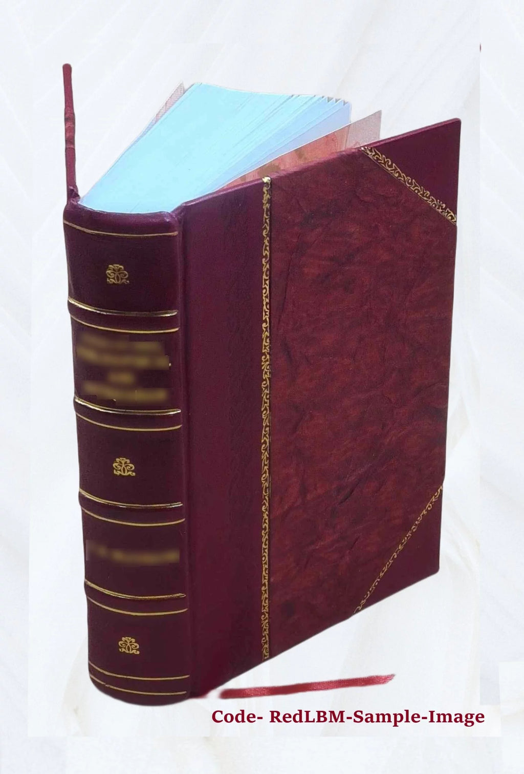 Leather Bound Book Z841