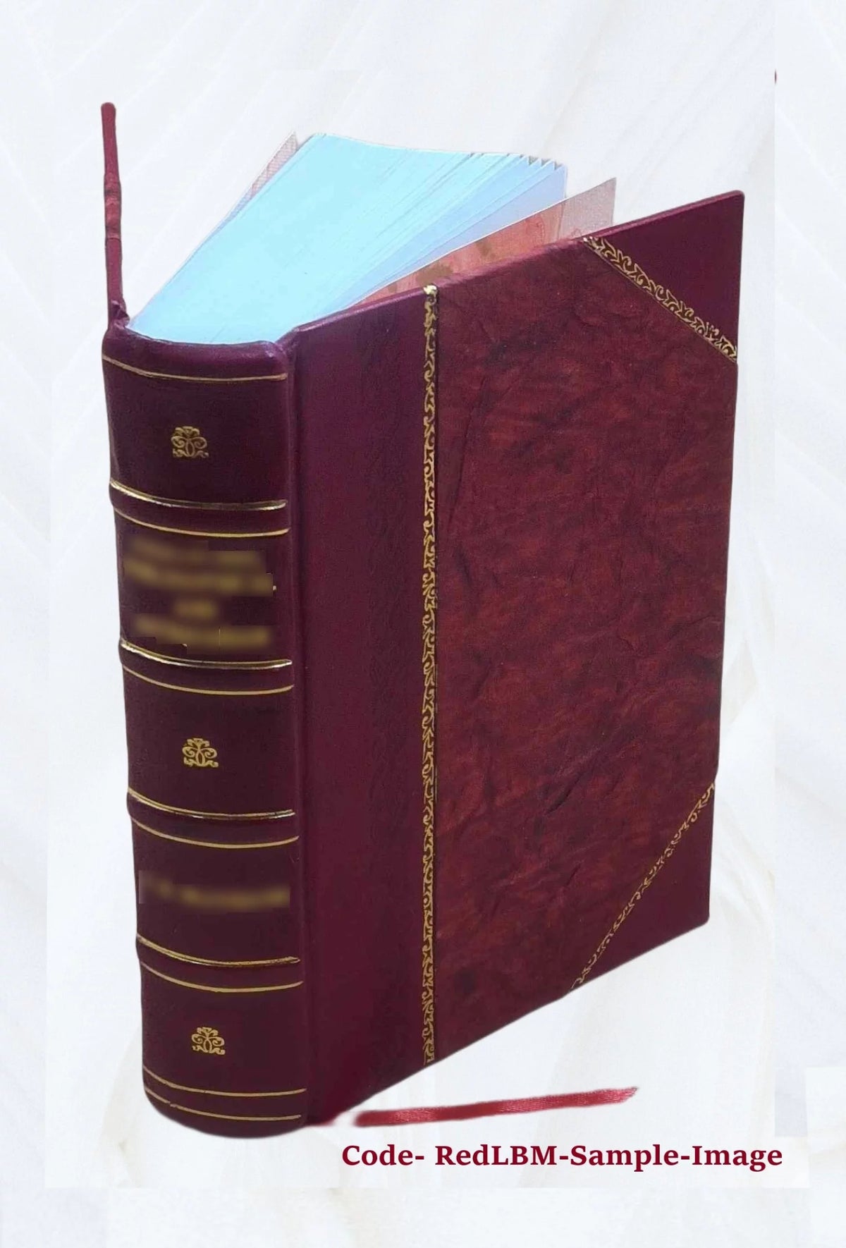 Leather Bound Book Z841