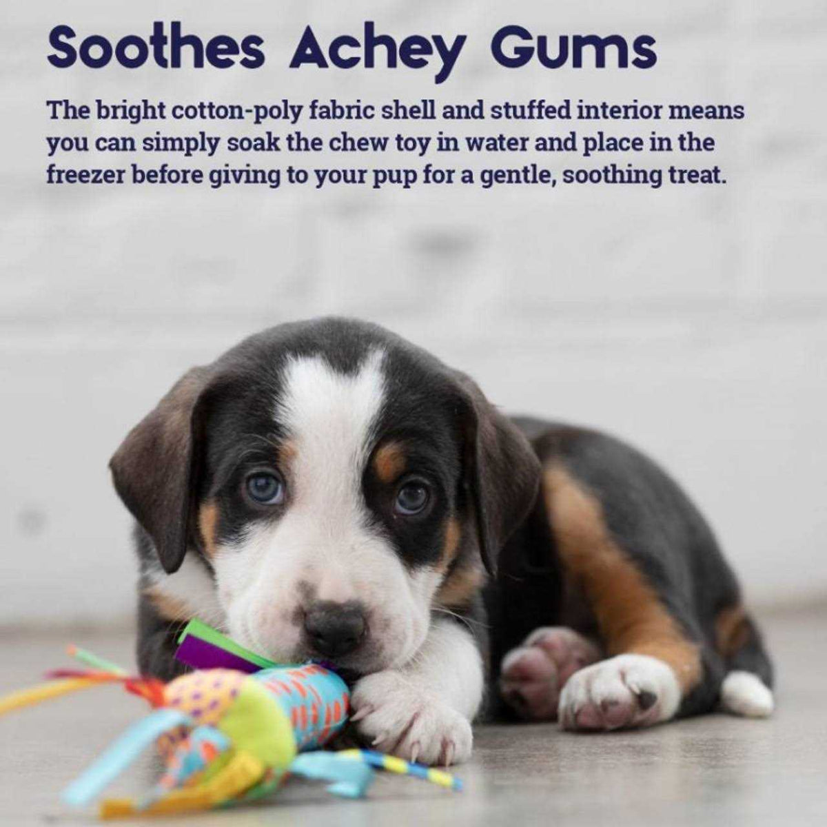 Cool Teething Stick Dog Toy U3978