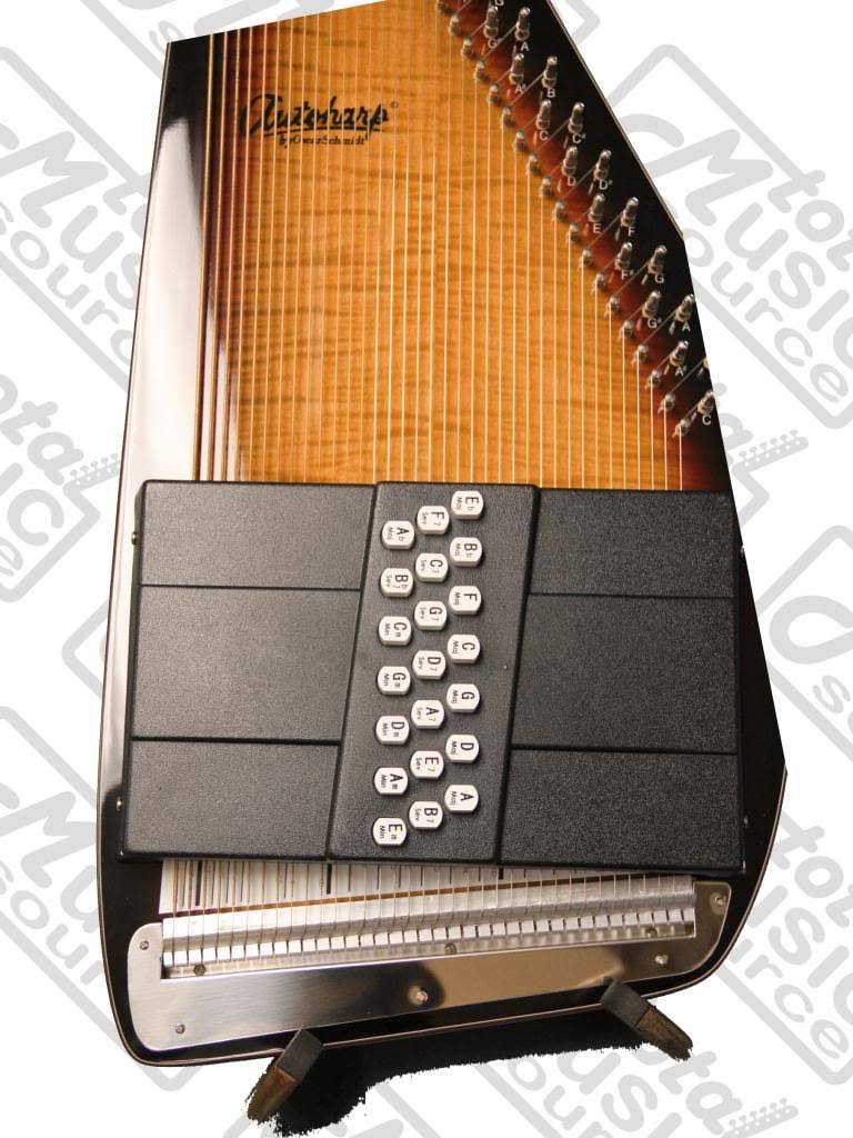 Acoustic Electric Auto Harp R9307