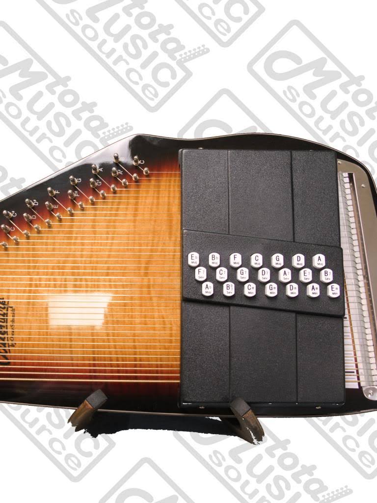 Acoustic Electric Auto Harp R9307