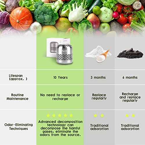 Refrigerator Deodorizer L266