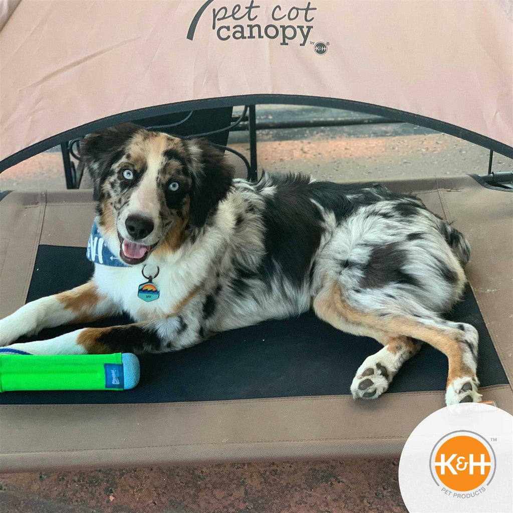 Pet Cot Canopy F9975