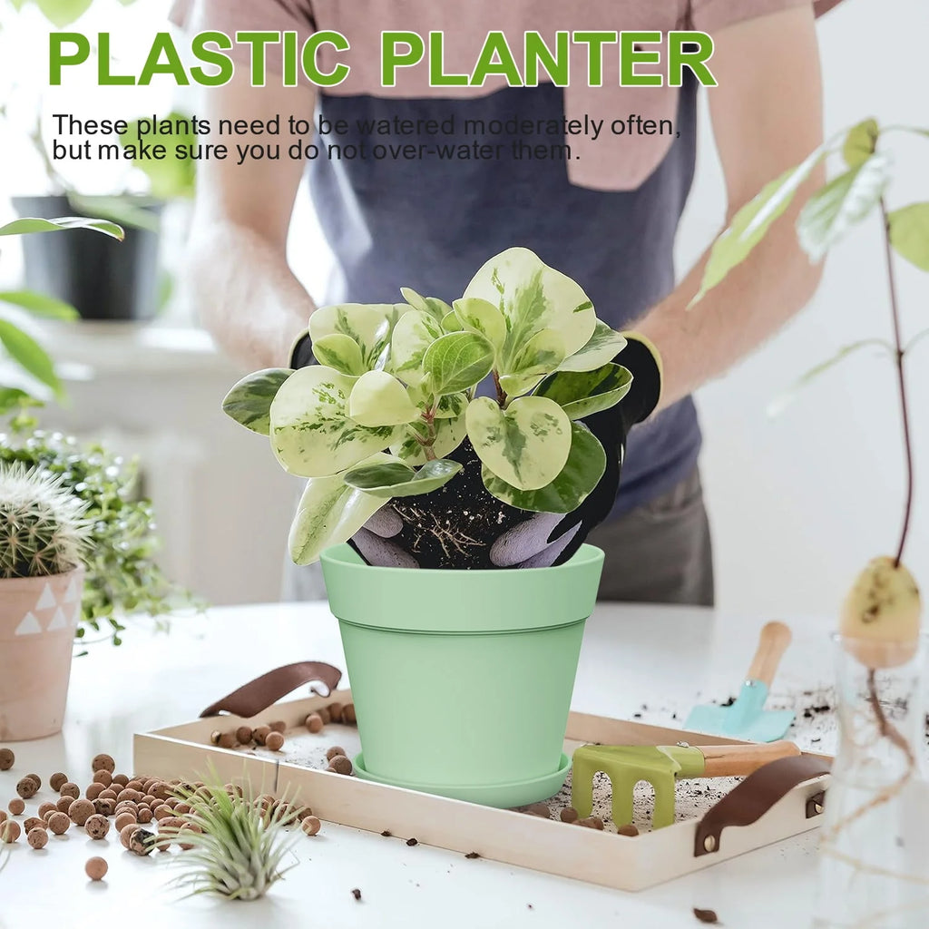 6 Inch Plastic Planters 16 Pack White L3339